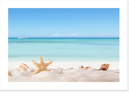 Summer beach with shells