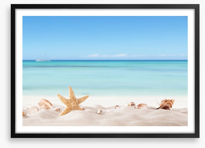 Summer beach with shells