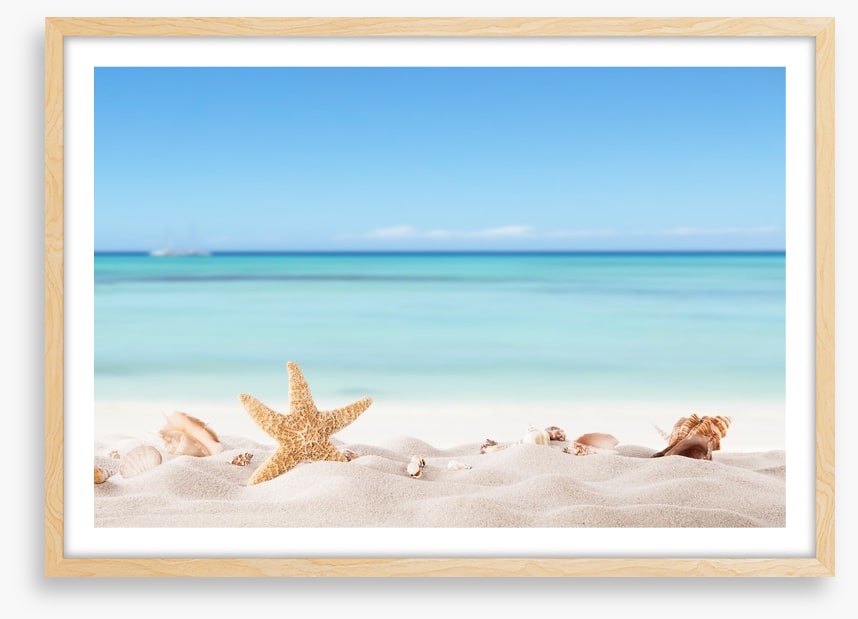 Summer beach with shells