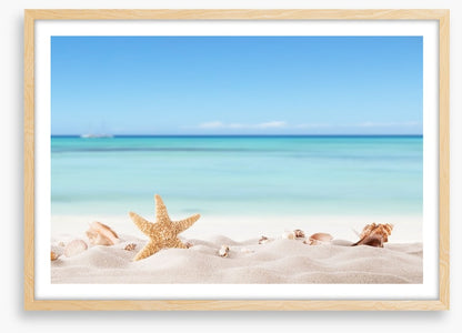 Summer beach with shells