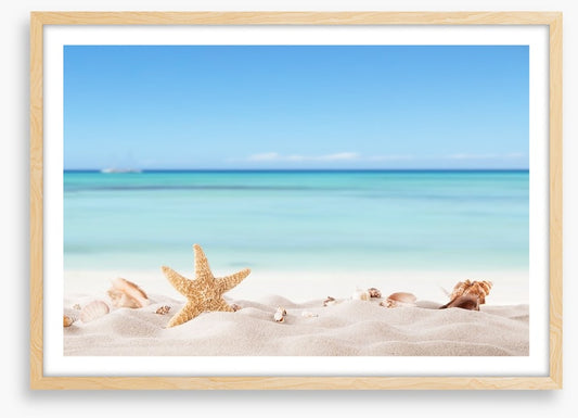 Summer beach with shells