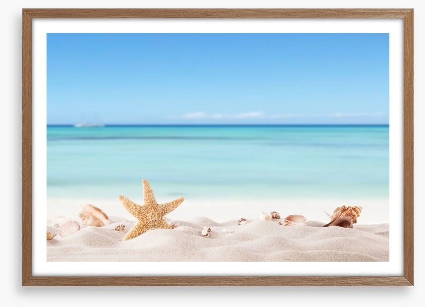 Summer beach with shells