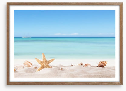 Summer beach with shells
