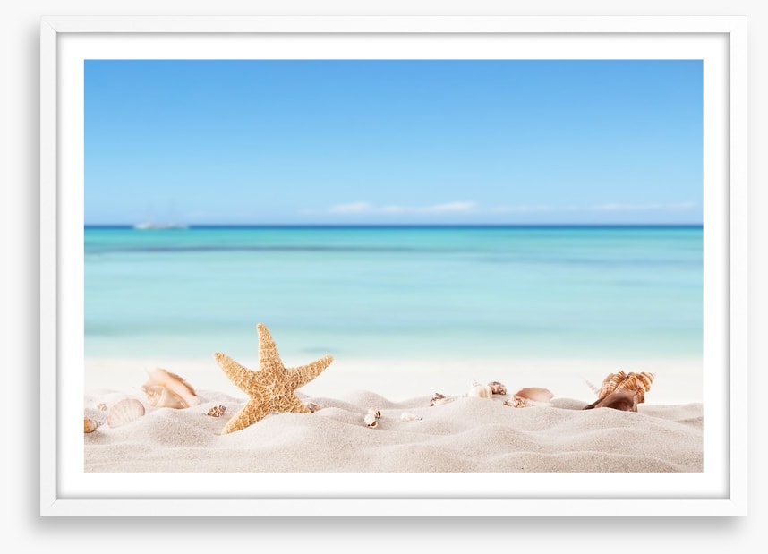 Summer beach with shells