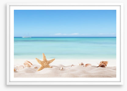 Summer beach with shells