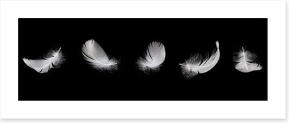 Five feathers