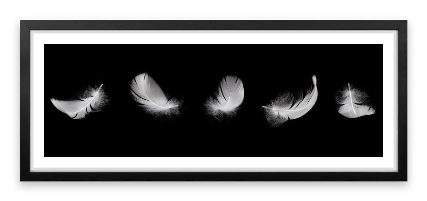 Five feathers