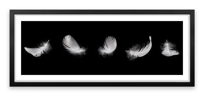 Five feathers