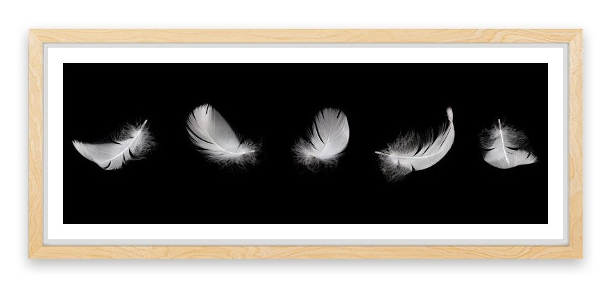 Five feathers