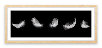 Five feathers