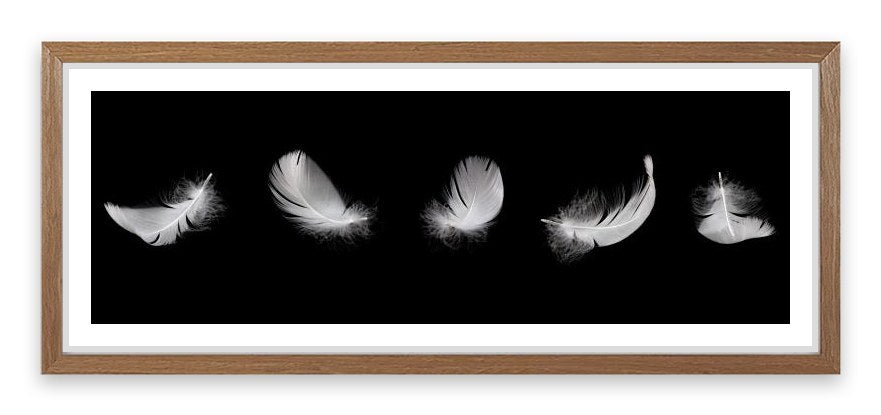Five feathers