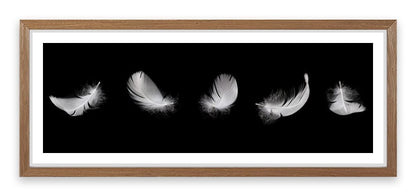 Five feathers
