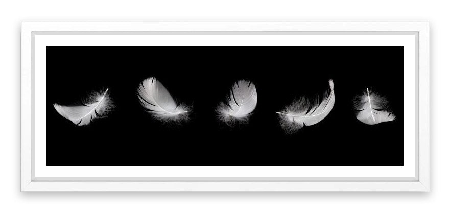 Five feathers