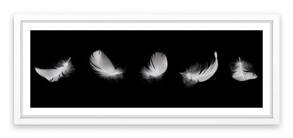 Five feathers