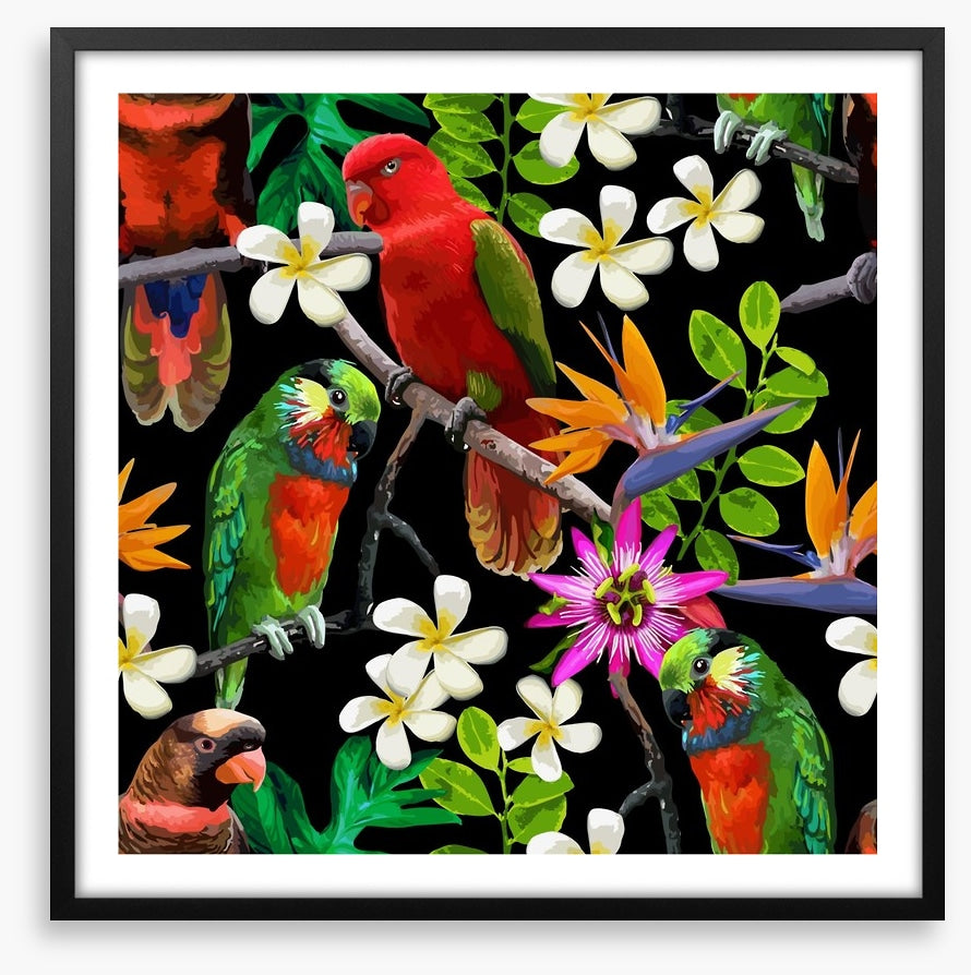 Exotic birds and frangipani