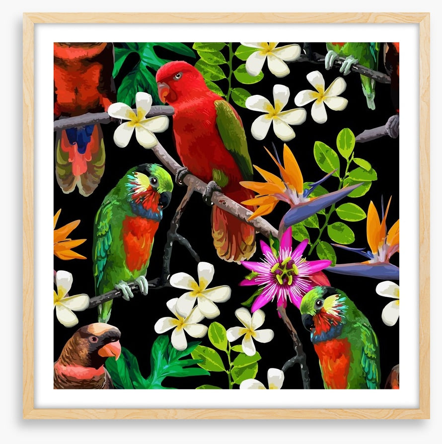 Exotic birds and frangipani