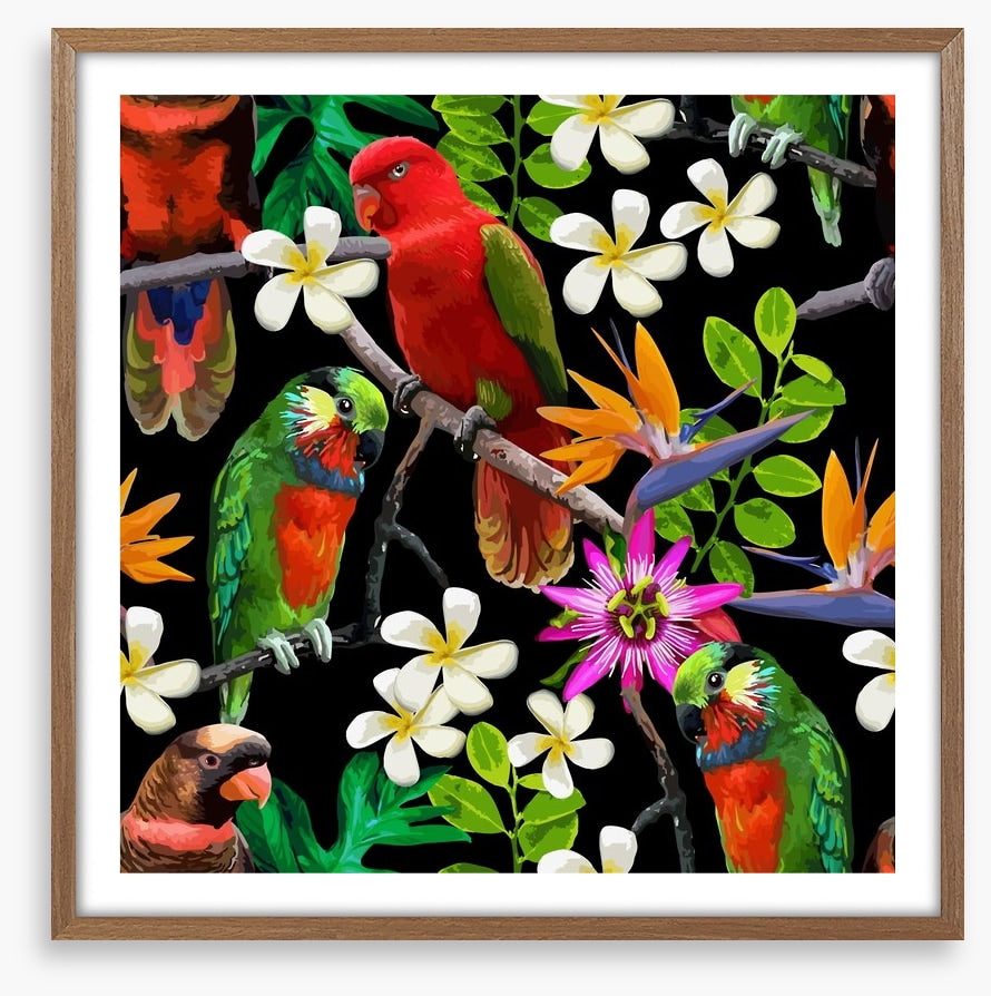 Exotic birds and frangipani