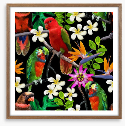 Exotic birds and frangipani