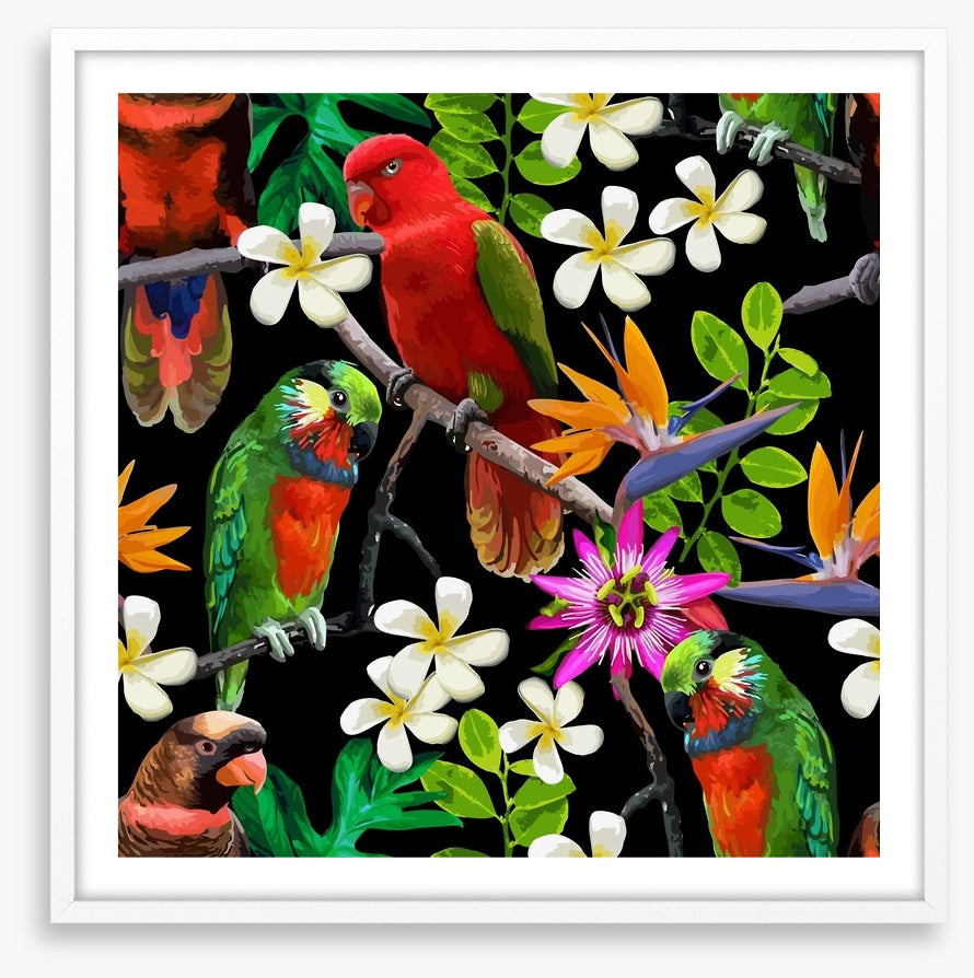 Exotic birds and frangipani