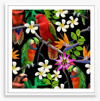 Exotic birds and frangipani