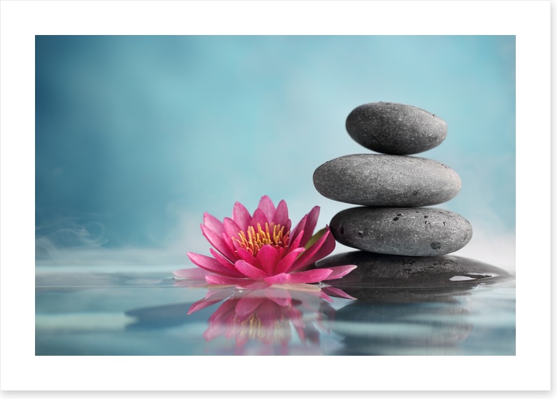 Rest and reflect