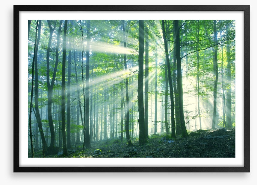 Green leaf light