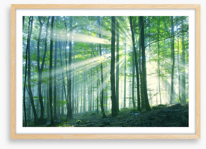 Green leaf light