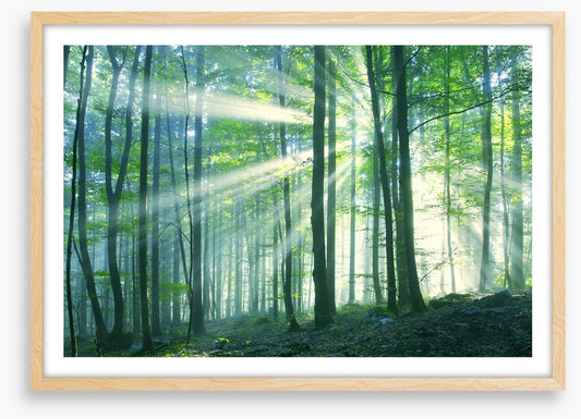 Green leaf light