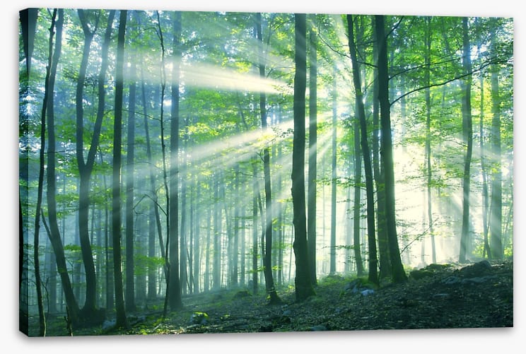 Green leaf light