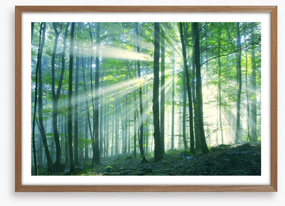 Green leaf light