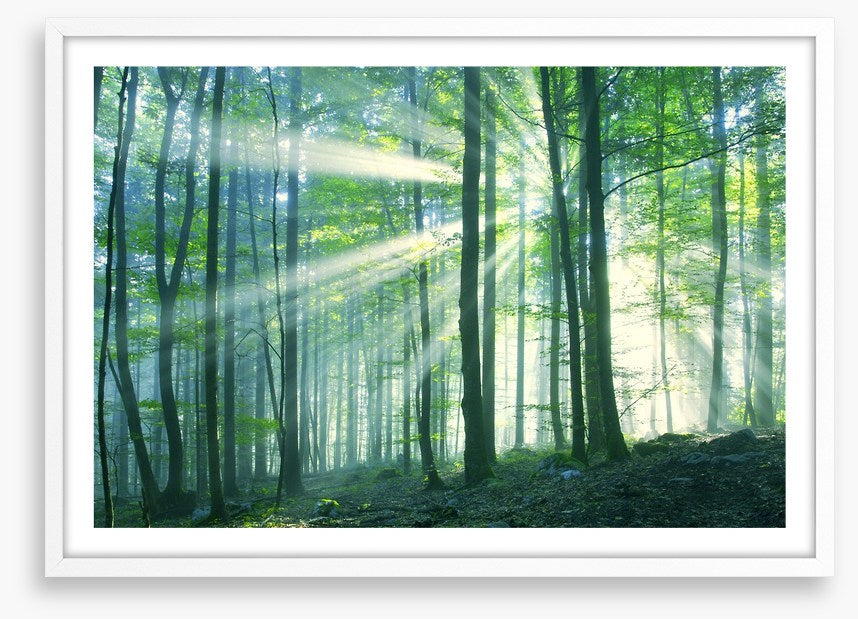 Green leaf light