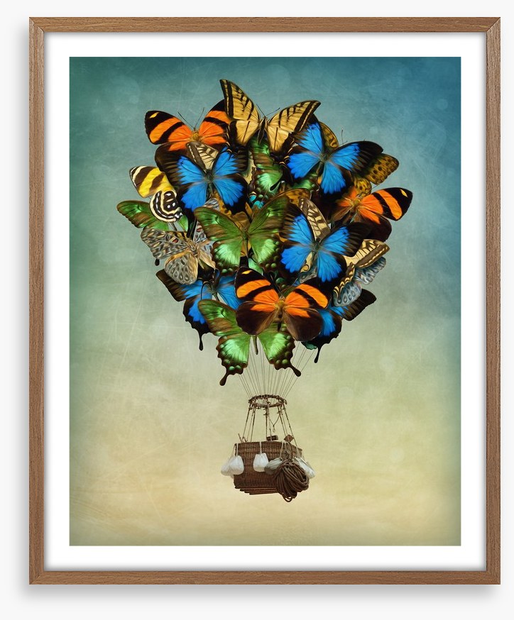 Butterfly balloon