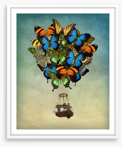 Butterfly balloon