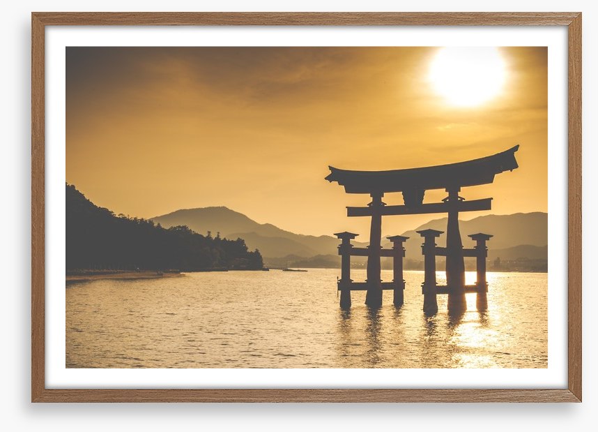 Shinto torii sunset
