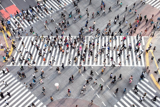 Tokyo crossing