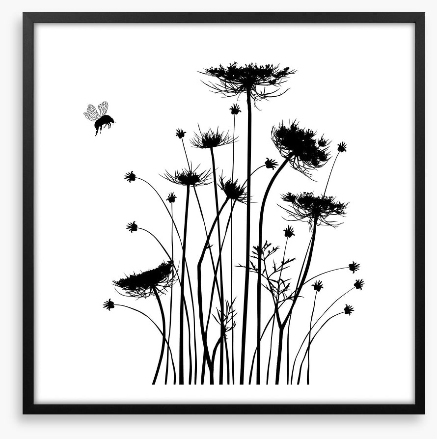 Silhouettes of summer
