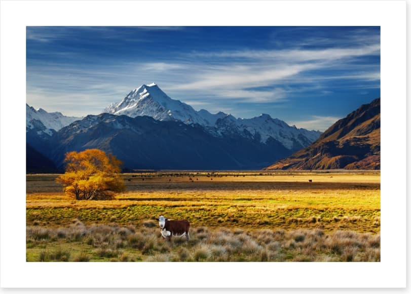 Under the shadow of Mount Cook