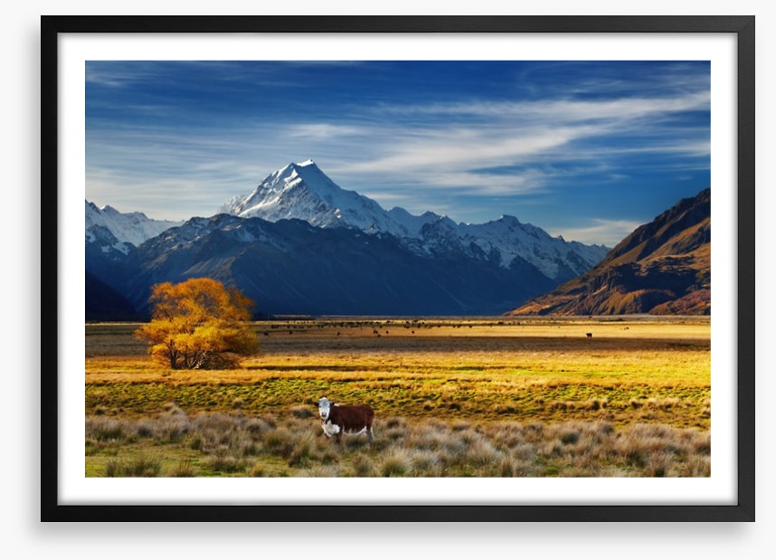 Under the shadow of Mount Cook
