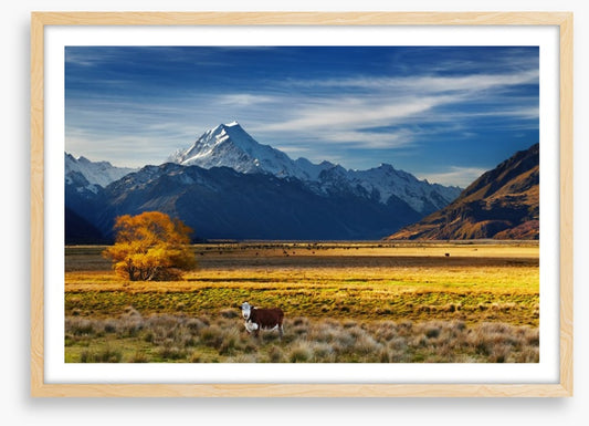 Under the shadow of Mount Cook