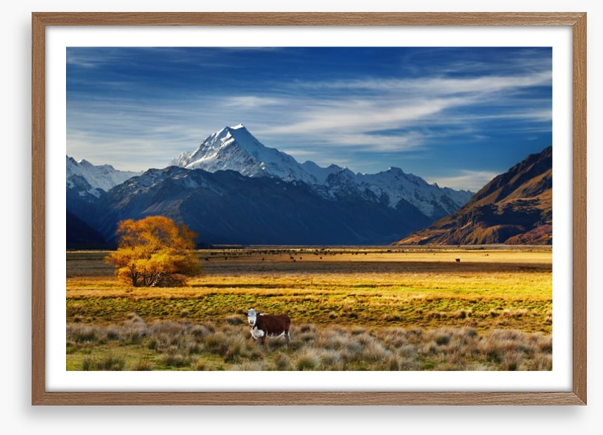 Under the shadow of Mount Cook