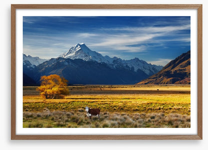 Under the shadow of Mount Cook