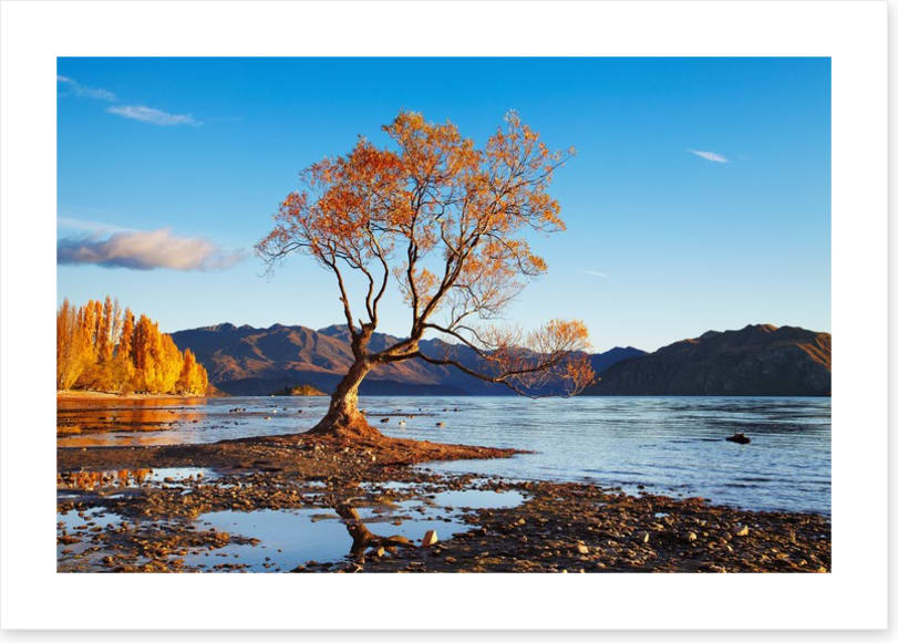 Autumn in Wanaka