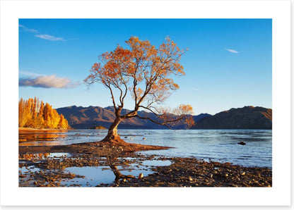 Autumn in Wanaka