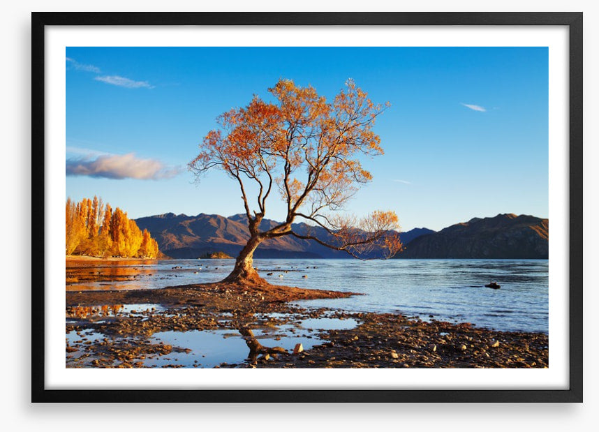 Autumn in Wanaka