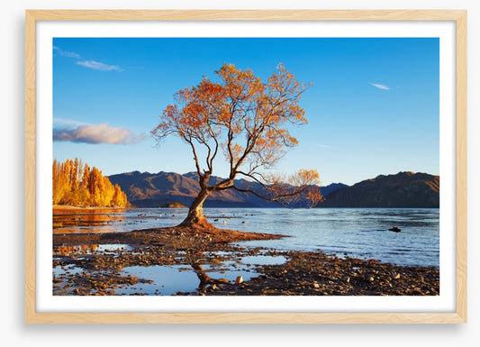 Autumn in Wanaka