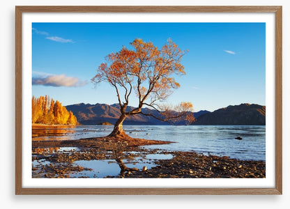Autumn in Wanaka
