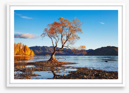 Autumn in Wanaka