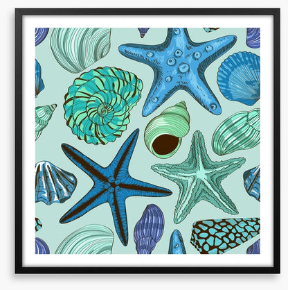 Seashells and starfish