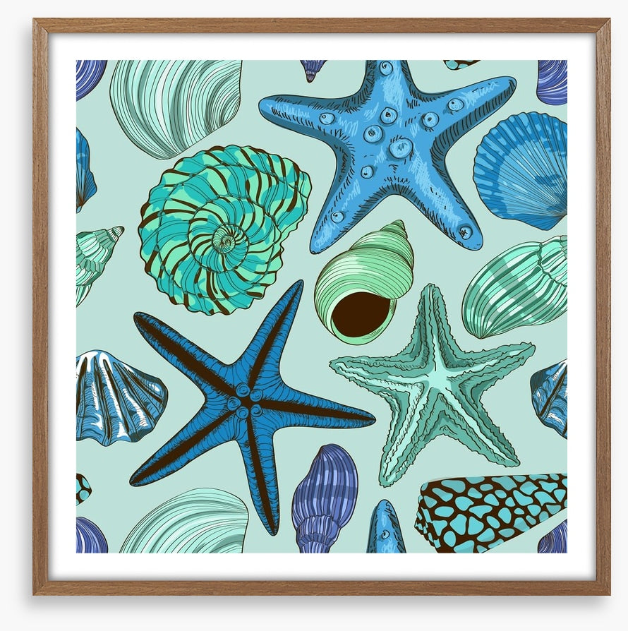 Seashells and starfish