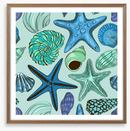 Seashells and starfish